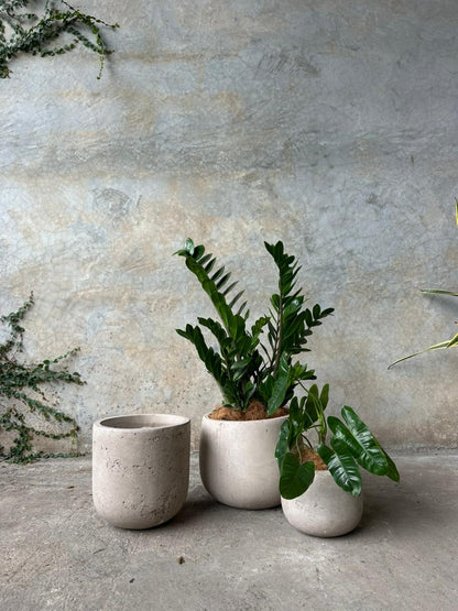 COMBO SALE TIERRA-SEQUOIA (CHICO + MINI + CHICO)