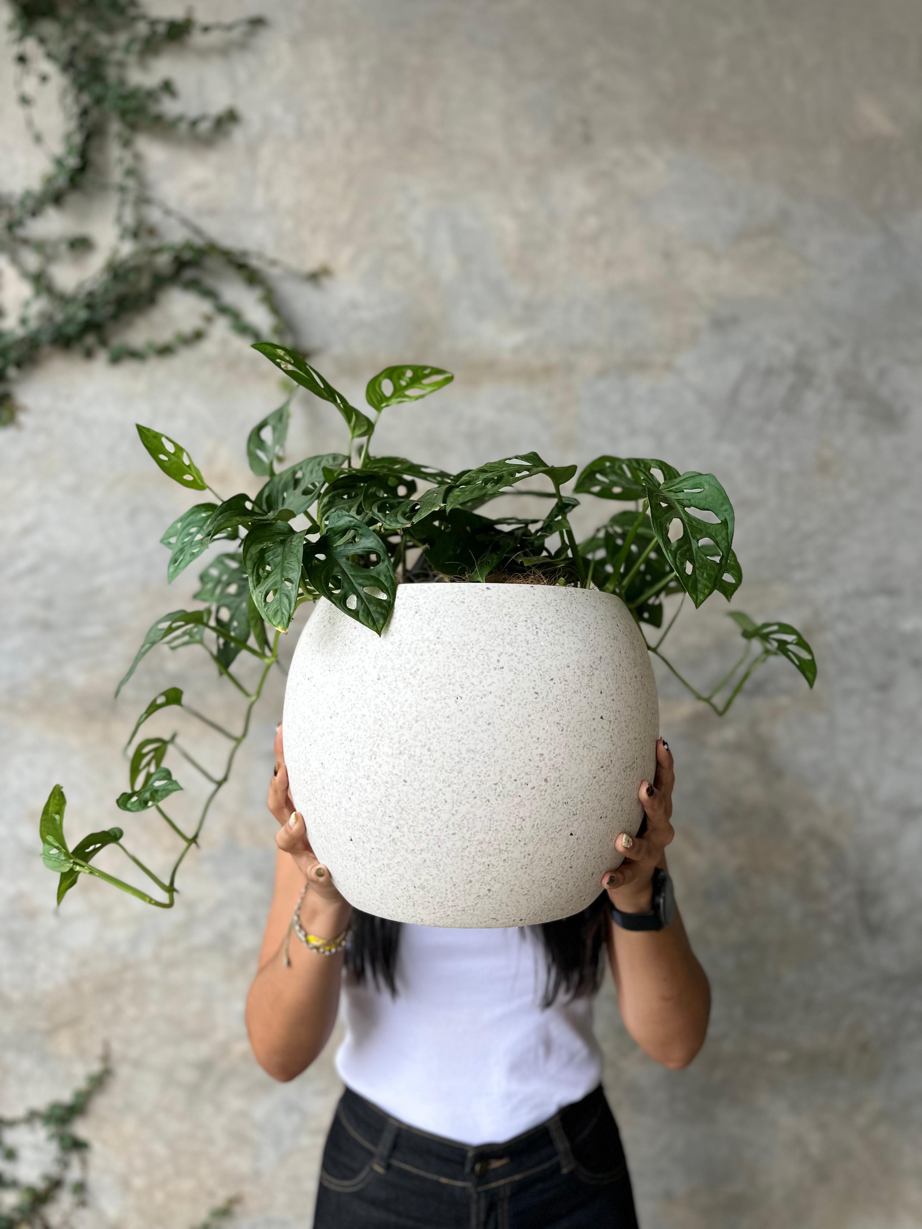 SALE CIELO TERRAZO (MINI)